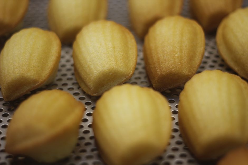 Madeleines dorées : astuces pour la belle bosse